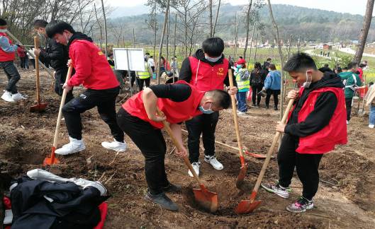 相约鹿门山 绿色满襄阳(图3)