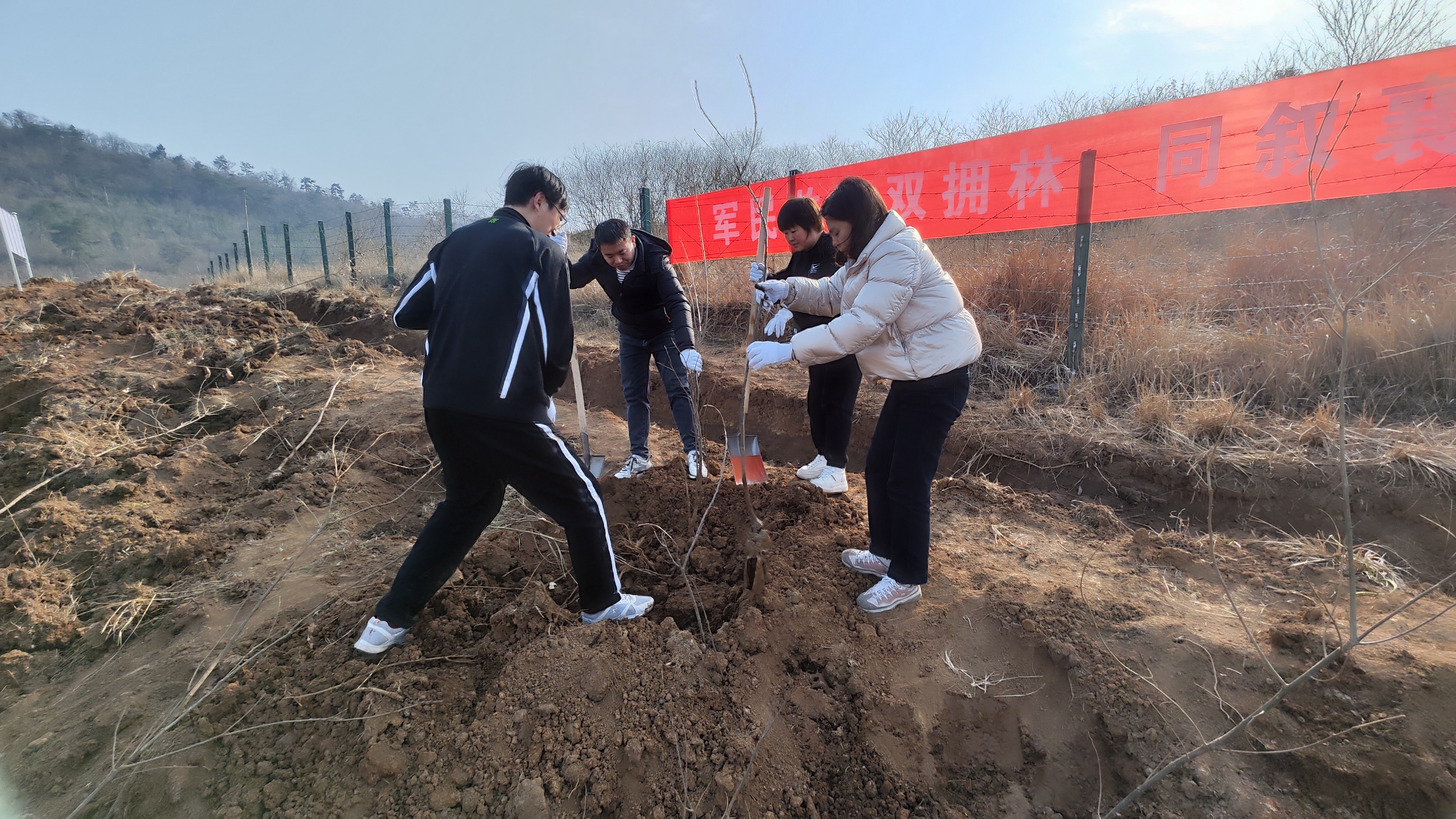 植树节党员和团员志愿服务活动(图2)