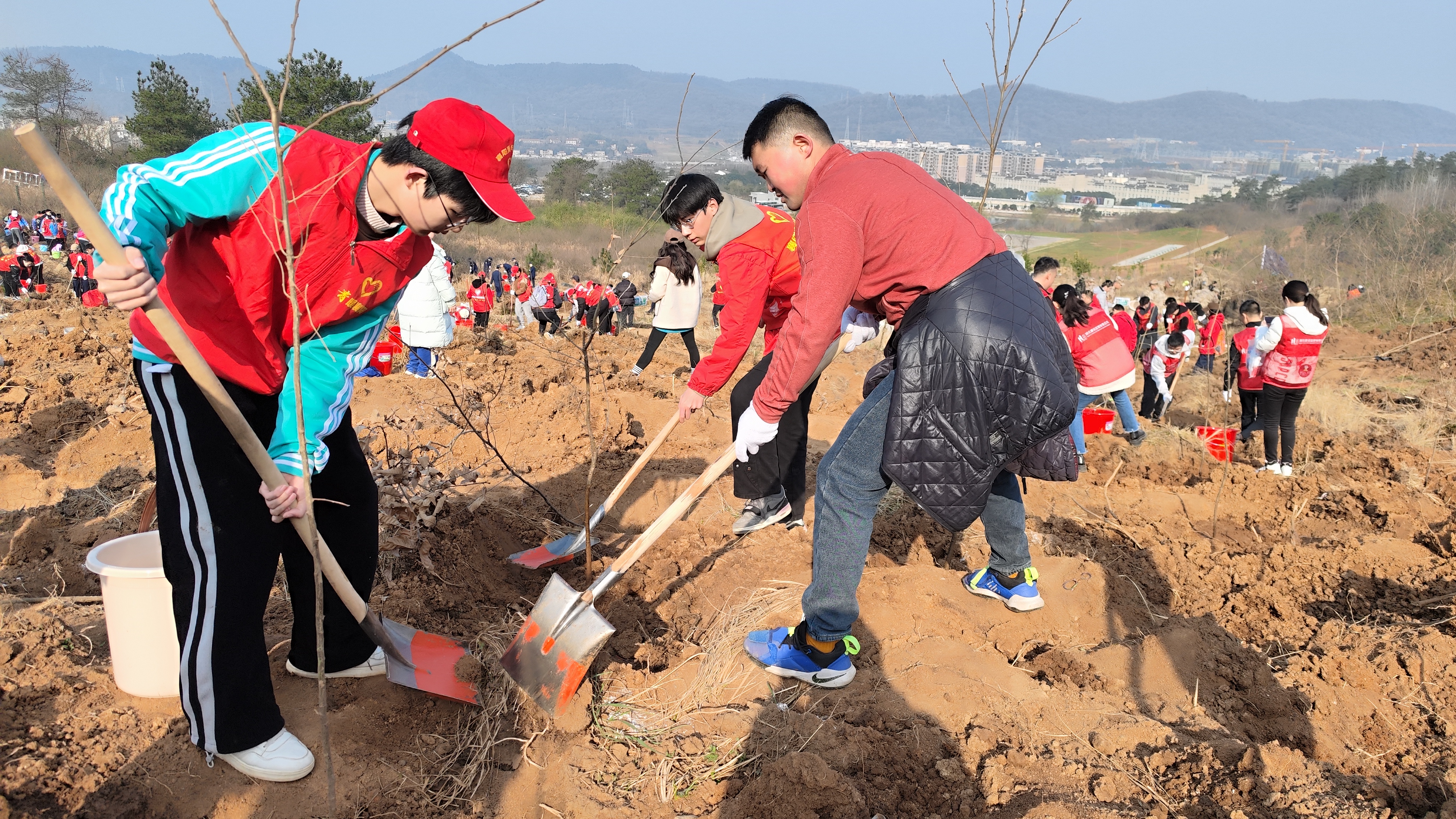 植树节党员和团员志愿服务活动(图3)