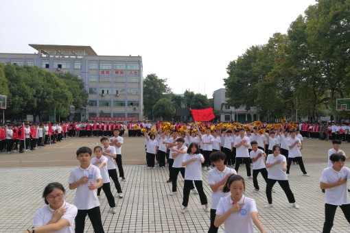 2020年秋新生军训汇报表演暨开学典礼(图6)